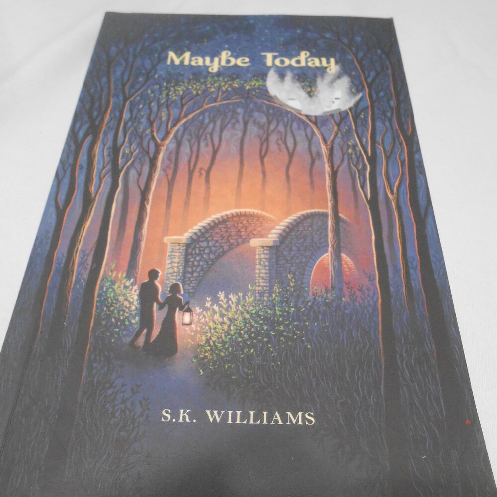 NEW TRADE PB BOOK : MAYBE TODAY BY S. K. WILLIAMS 📘 POETRY